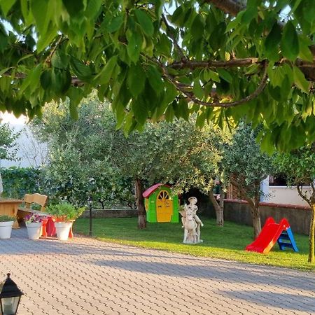 Apartmani Sanja Vrsi Exterior photo