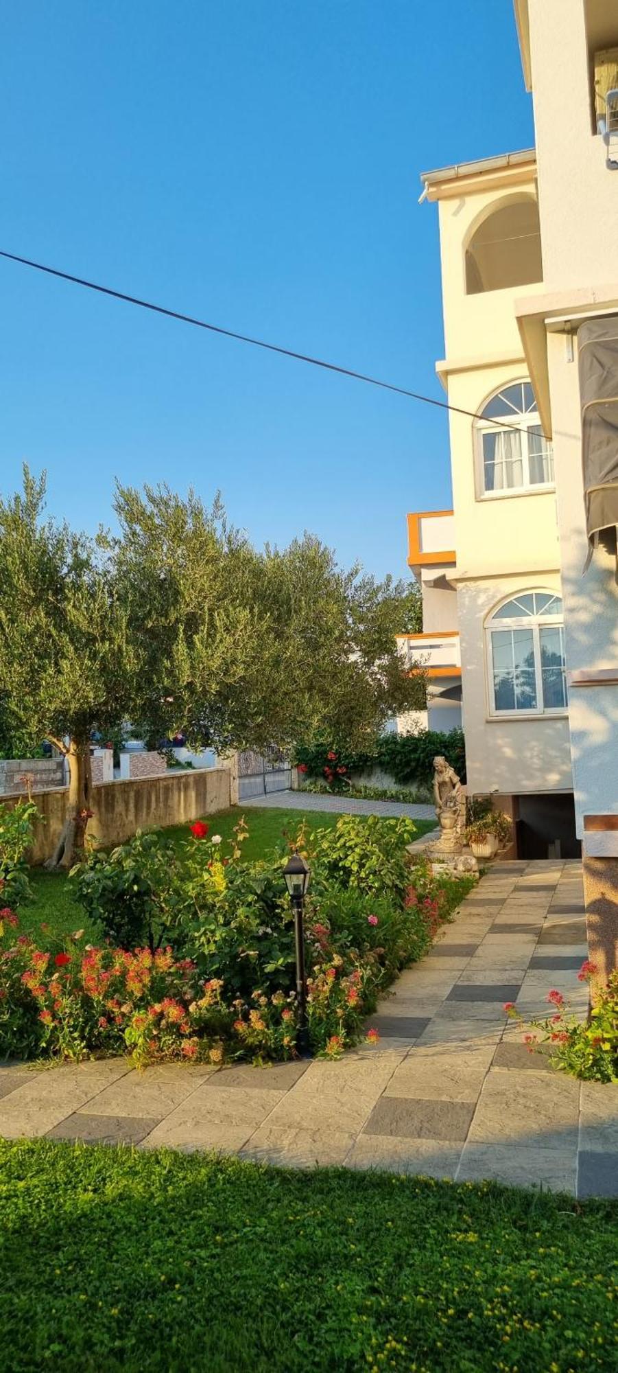Apartmani Sanja Vrsi Exterior photo
